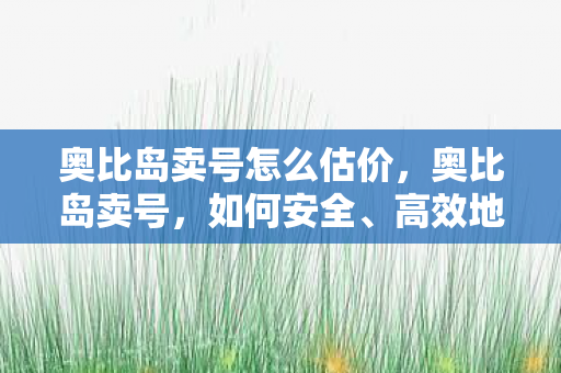 奥比岛卖号怎么估价图片