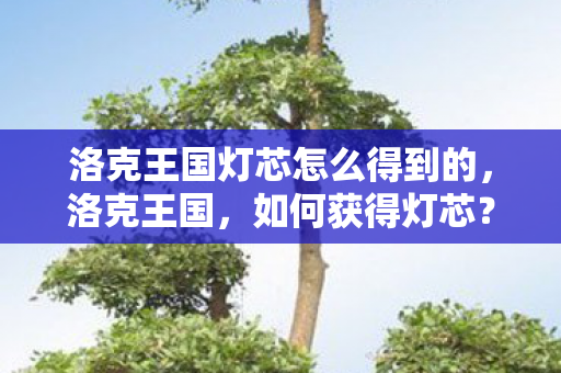 洛克王国灯芯怎么得到的图片