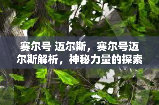 神秘力量的探索之旅图片