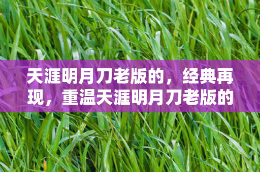 重温天涯明月刀老版的不朽魅力图片