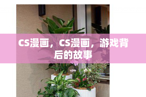 CS漫画，CS漫画，游戏背后的故事