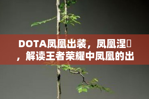 解读王者荣耀中凤凰的出装策略图片