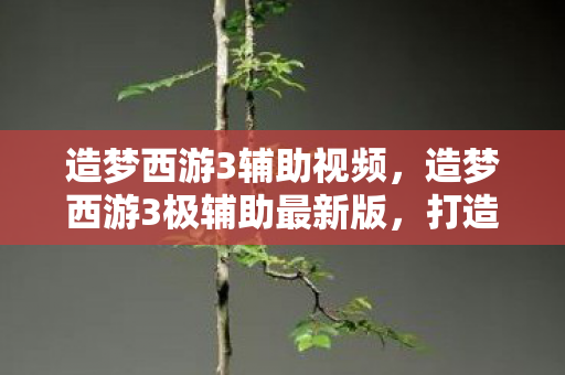 造梦西游3极辅助最新版图片