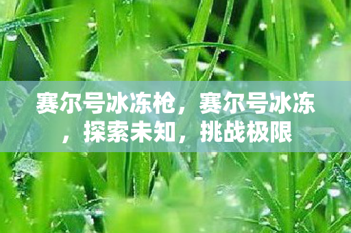 赛尔号冰冻枪图片