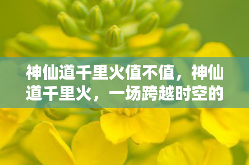 一场跨越时空的奇幻之旅图片