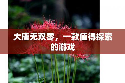 大唐无双零，一款值得探索的游戏