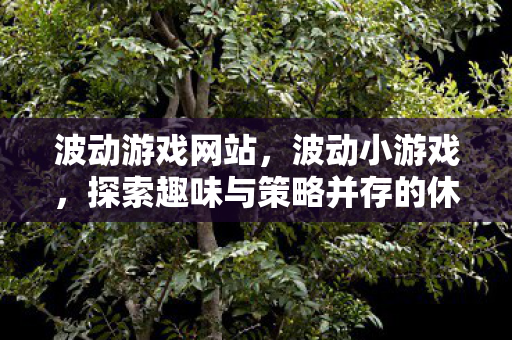 探索趣味与策略并存的休闲新选择图片