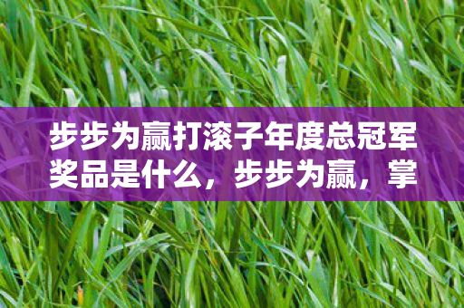 步步为赢打滚子年度总冠军奖品是什么图片