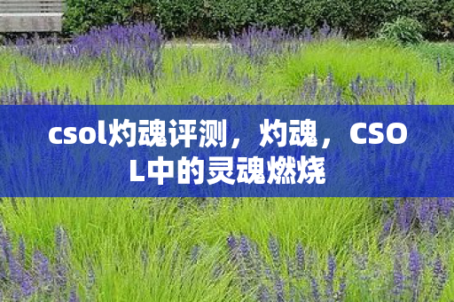 CSOL中的灵魂燃烧图片