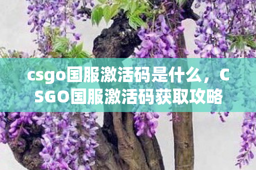 csgo国服激活码是什么，CSGO国服激活码获取攻略