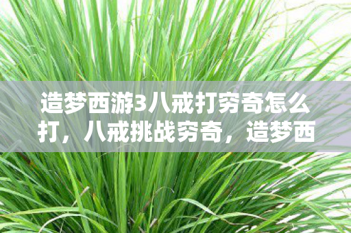 造梦西游3八戒打穷奇怎么打图片