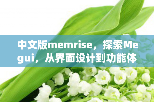 中文版memrise图片