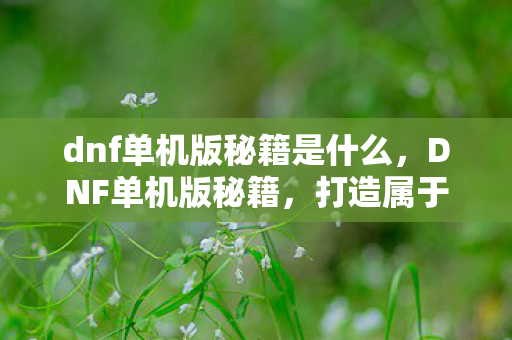 打造属于你的专属冒险之旅图片