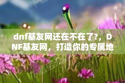 打造你的专属地下城与勇士社交圈图片