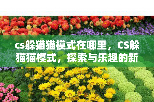 cs躲猫猫模式在哪里，CS躲猫猫模式，探索与乐趣的新领域