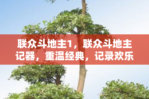 联众斗地主记器图片