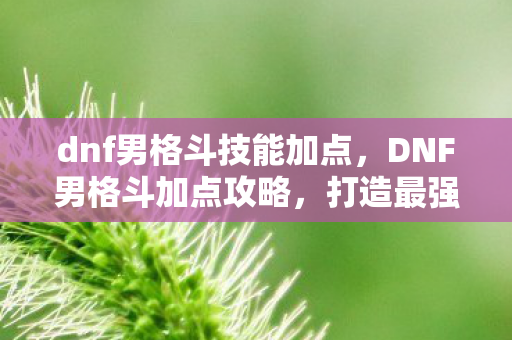 dnf男格斗技能加点图片