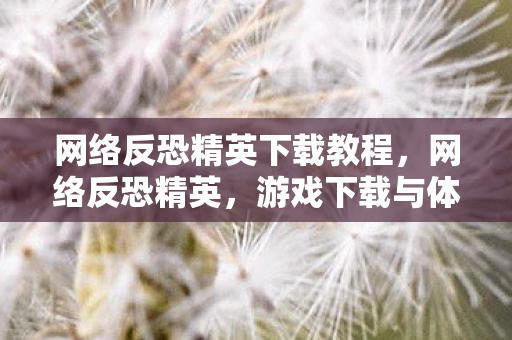 网络反恐精英下载教程，网络反恐精英，游戏下载与体验分享