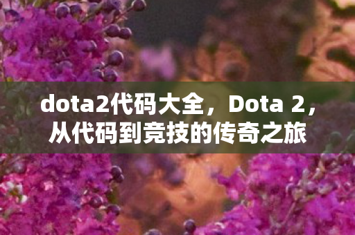 从代码到竞技的传奇之旅图片