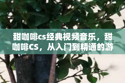 甜咖啡cs经典视频音乐，甜咖啡CS，从入门到精通的游戏指南
