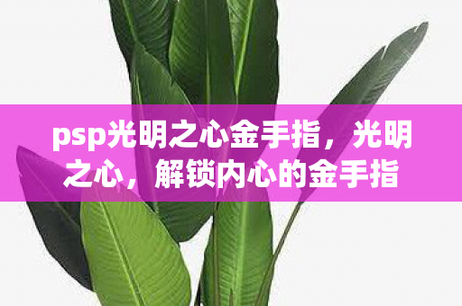 psp光明之心金手指，光明之心，解锁内心的金手指
