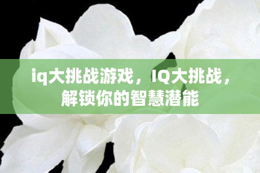 iq大挑战游戏，IQ大挑战，解锁你的智慧潜能