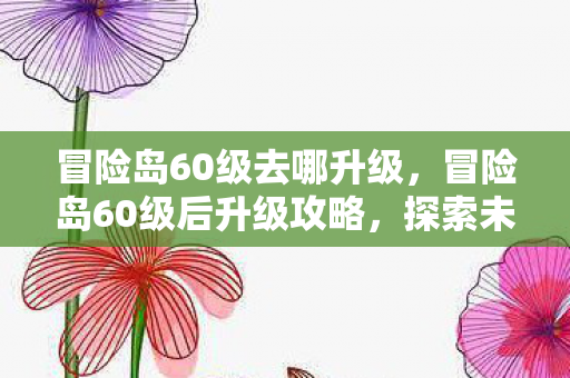 冒险岛60级后升级攻略图片