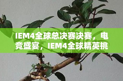 IEM4全球总决赛决赛，电竞盛宴，IEM4全球精英挑战赛回顾与解析