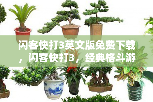 闪客快打3英文版免费下载，闪客快打3，经典格斗游戏的英文之旅