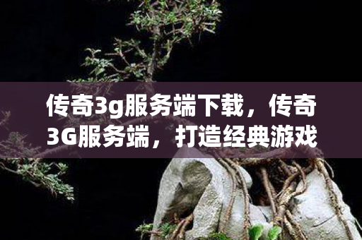 传奇3g服务端下载，传奇3G服务端，打造经典游戏的背后故事
