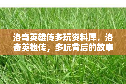 洛奇英雄传多玩资料库，洛奇英雄传，多玩背后的故事与魅力