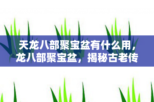 天龙八部聚宝盆有什么用，龙八部聚宝盆，揭秘古老传说中的财富密码