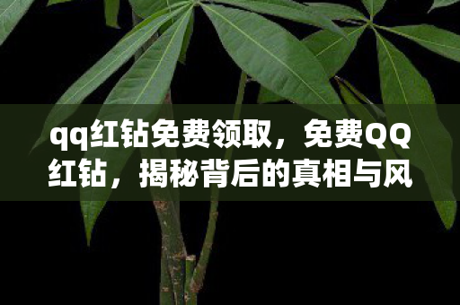 qq红钻免费领取，免费QQ红钻，揭秘背后的真相与风险