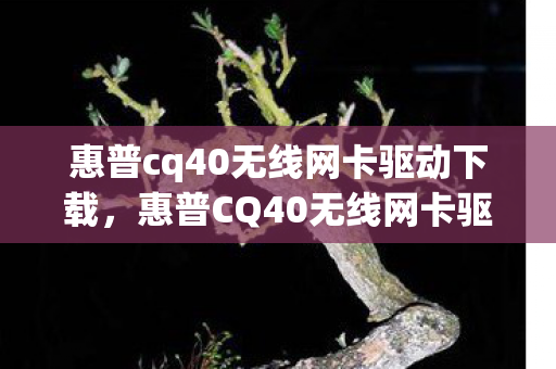 惠普cq40无线网卡驱动下载，惠普CQ40无线网卡驱动安装与常见问题解决方案