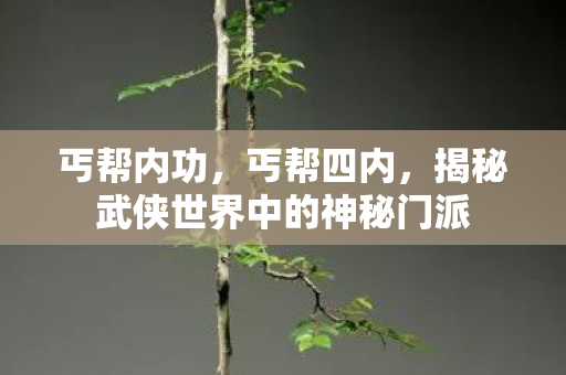 丐帮内功，丐帮四内，揭秘武侠世界中的神秘门派