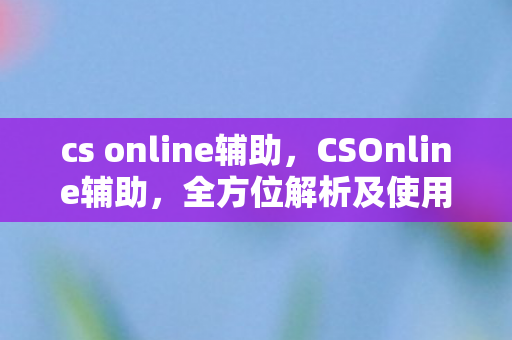 cs online辅助，CSOnline辅助，全方位解析及使用指南