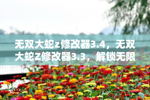 解锁无限可能的战斗体验图片