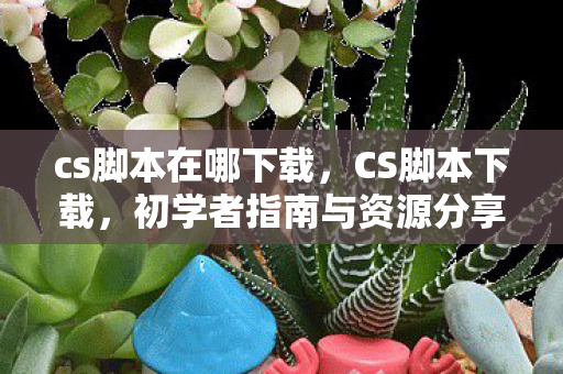 cs脚本在哪下载，CS脚本下载，初学者指南与资源分享