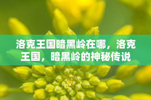 洛克王国暗黑岭在哪图片