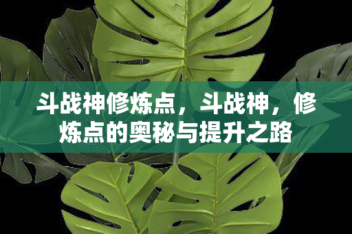 修炼点的奥秘与提升之路图片