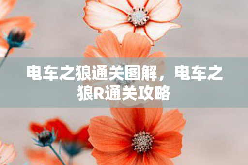 电车之狼R通关攻略图片