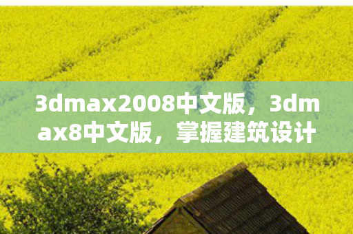 3dmax2008中文版图片