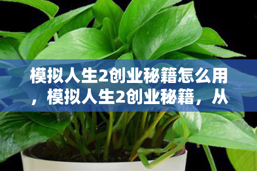 模拟人生2创业秘籍怎么用图片