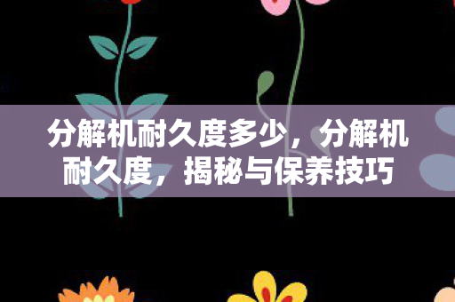 分解机耐久度多少图片