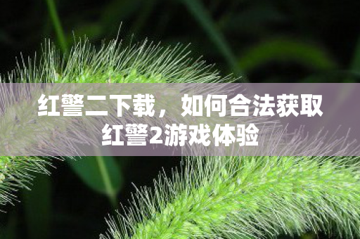 如何合法获取红警2游戏体验图片