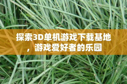 探索3D单机游戏下载基地，游戏爱好者的乐园