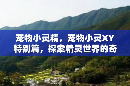 探索精灵世界的奇妙之旅图片