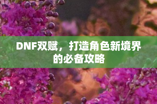 打造角色新境界的必备攻略图片