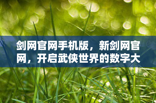 开启武侠世界的数字大门图片