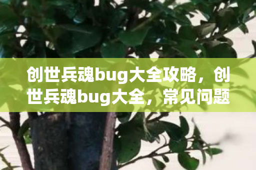 创世兵魂bug大全攻略图片